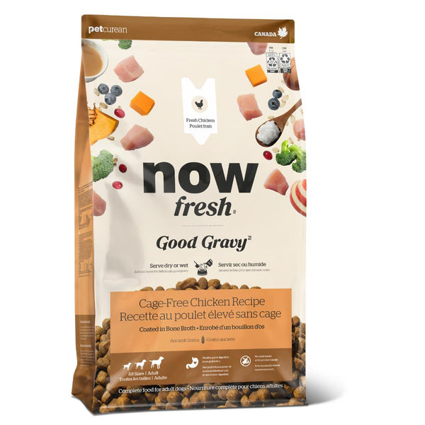 NOW Good Gravy Adult Chicken 22LB
