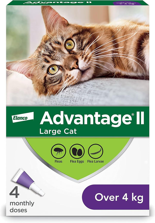 Advantage II - Large Cat 4pk
