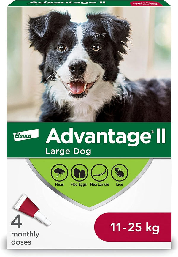 Advantage II - Large Dog 11-25kg 4pk