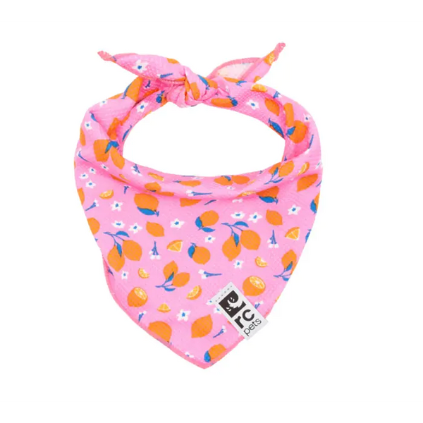 Zephyr Cooling Bandana Zesty Med/Lg